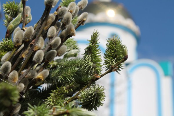 Крупин Вербное воскресенье