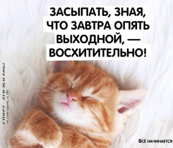 Завтра выходной