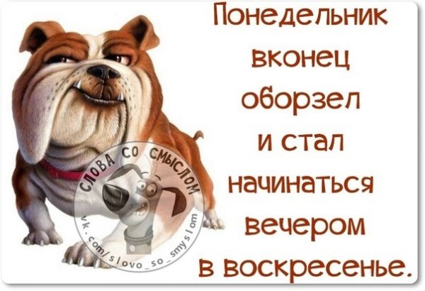 Смешные высказывания про воскресенье