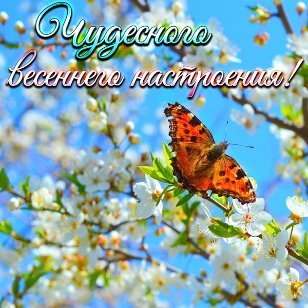 Весеннее настроение