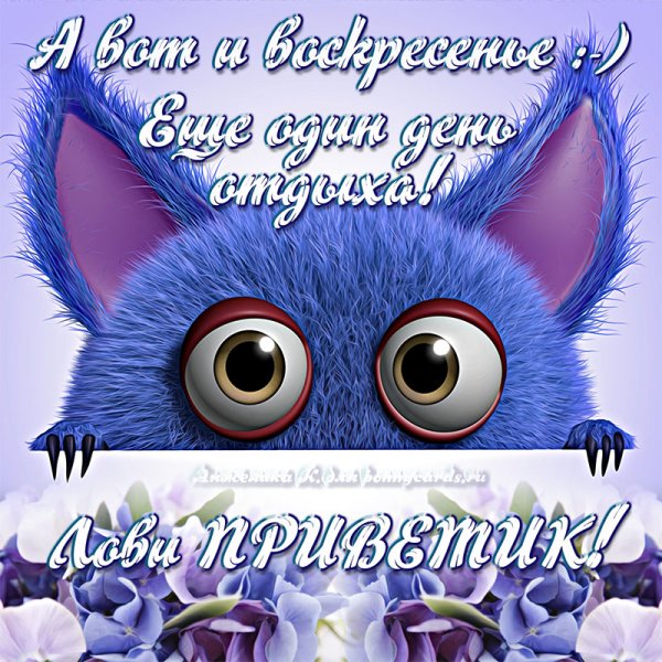 Открытки с воскресеньем прикольные
