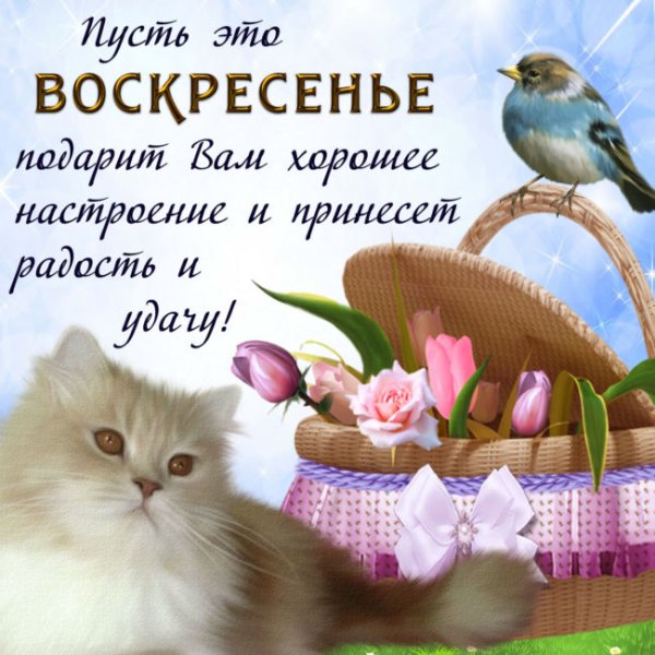 Пожелания на воскресенье