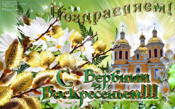 С Вербным воскресеньем открытки