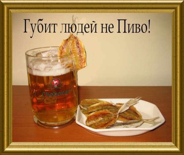 По пиву открытка