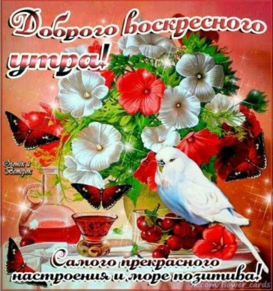 Открытки с добрым днём красивые