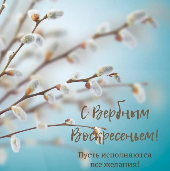 Вербное воскресенье изображение