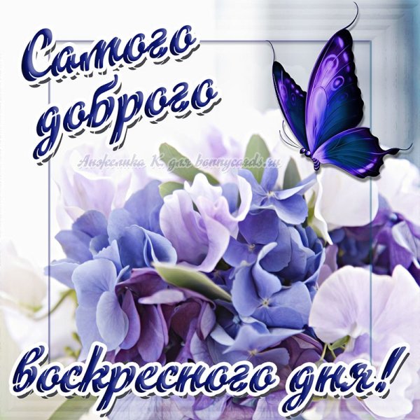 Открытки с добрым утром воскресенья