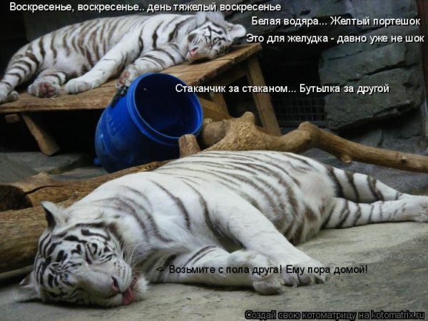 Наконец то воскресенье