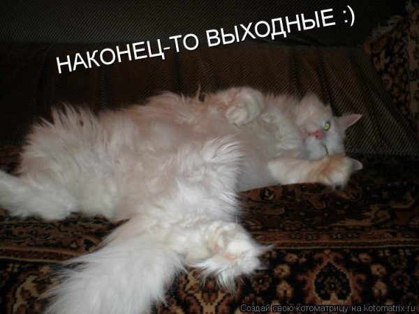 Ну наконец то выходные