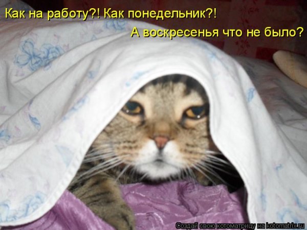 Я В понедельник утром
