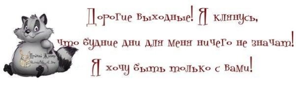 Открытки с субботой прикольные