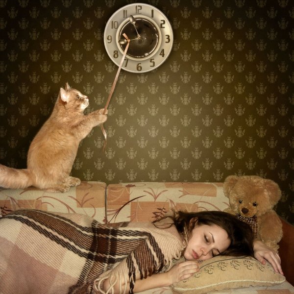 Кошечка проснулась