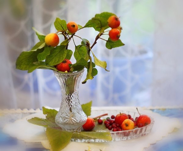 Прекрасного осеннего воскресного дня