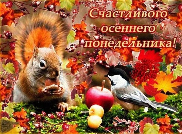 Счастливого осеннего понедельника