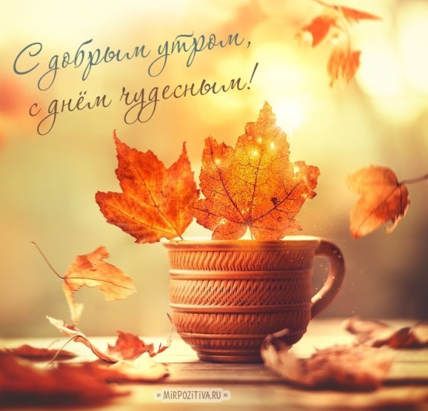 С последней неделькой осени