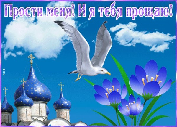 С прощенным воскресеньем голубь