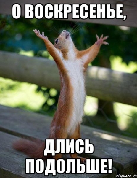 Воскресенье продлись подольше гифки