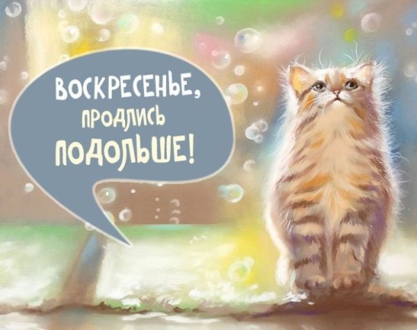 Доброе Воскресное у РО