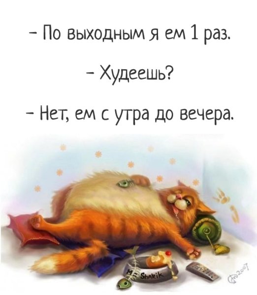 Воскресенье утро приколы