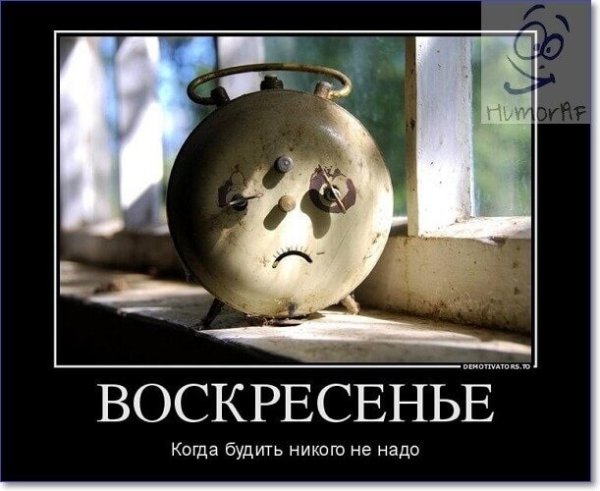 Спасибо за внимание Шрек