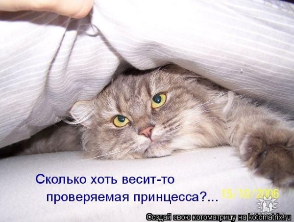 Доброе Воскресное утро прикольные