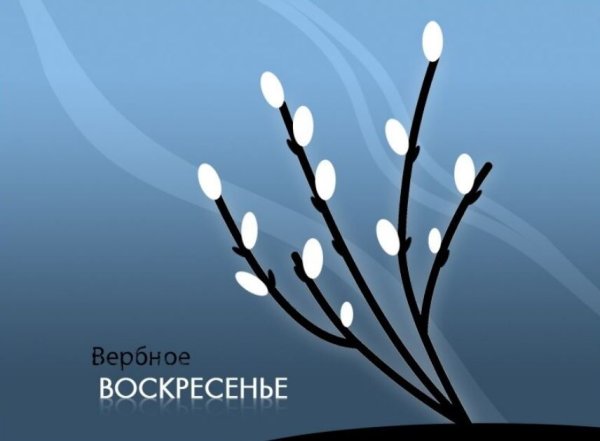 Веточка вербы открытка