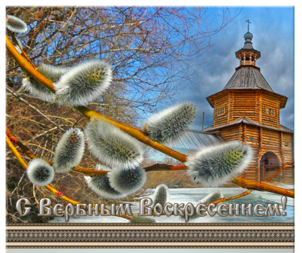 С Вербным воскресеньем ангелы