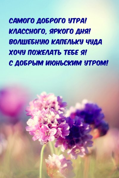 Пожелания со смыслом на день