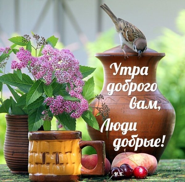 Доброе утро друзья