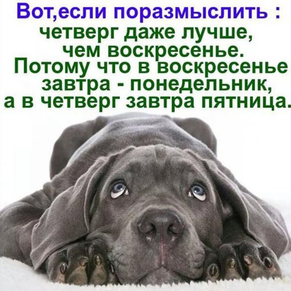 Шутки про четверг