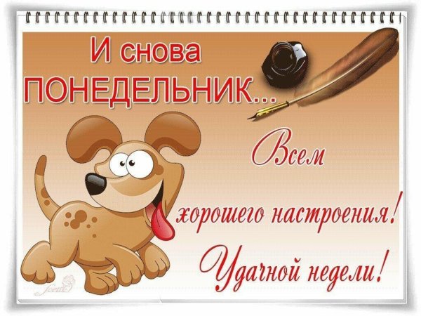 С утра свернуть хотела горы потом решила пусть стоят