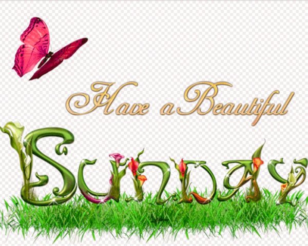 Good morning have a beautiful Day воскресенье