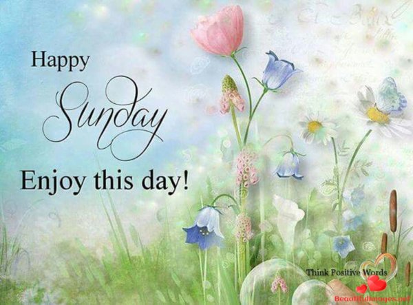 Открытки Happy Sunday