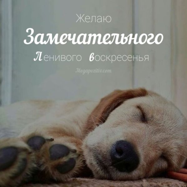 Утро воскресенья