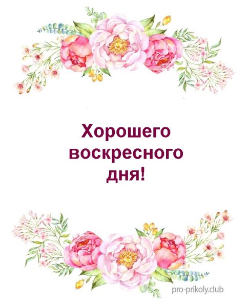 Хорошего воскресного дня