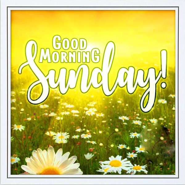 Good morning Sunday