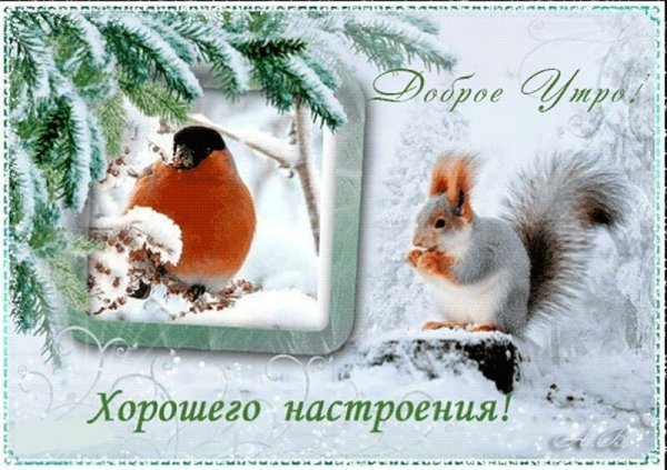 Доброго зимнего воскресного дня