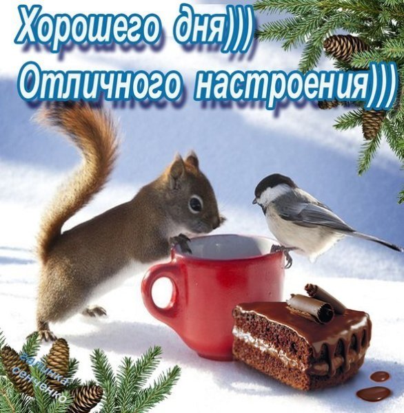 Хорошего зимнего дня и отличного настроения