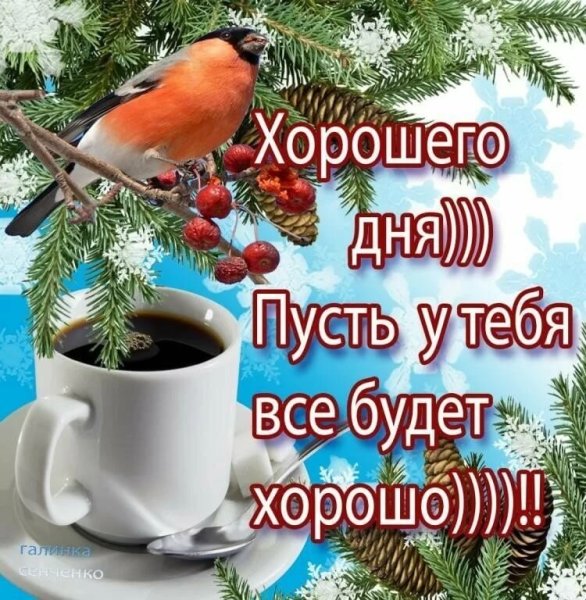 Хорошего зимнего дня