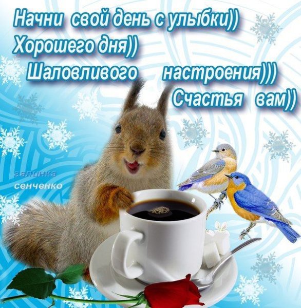 Зимние поздравления с добрым утром