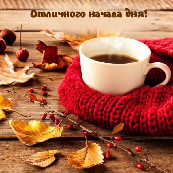 Теплого осеннего утра
