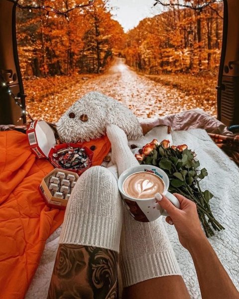 Роскошное утро