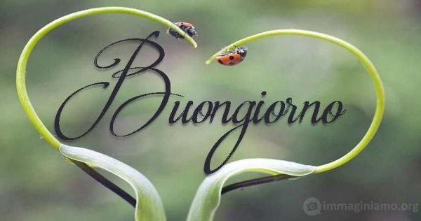 Buongiorno картинки