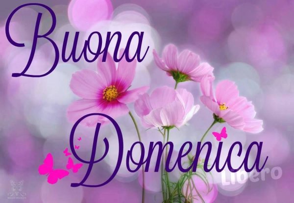 Buongiorno domenica открытки