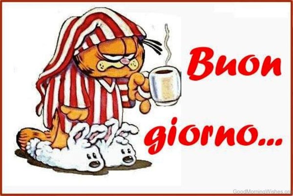 Buongiorno открытки смешные