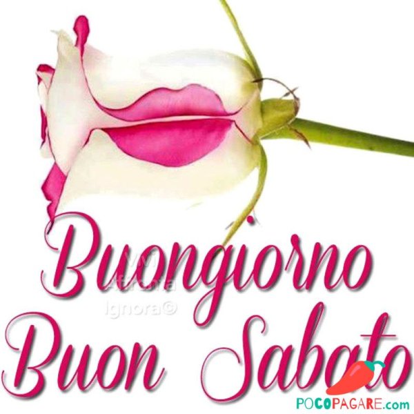 Открытки buon sabato