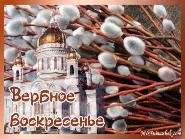 Вербное воскресенье слайды