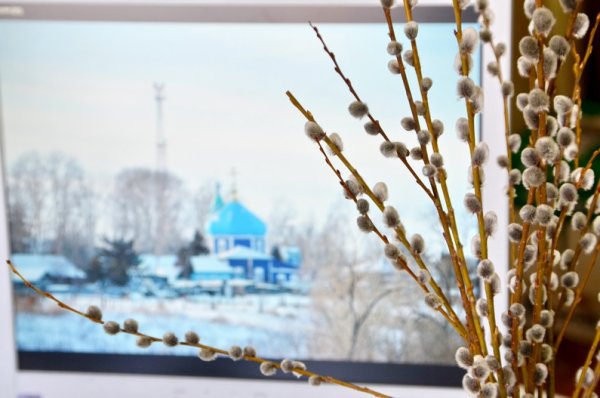 С Вербным воскресеньем открытки