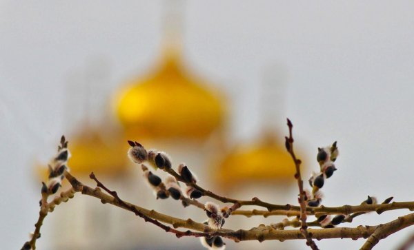 С Вербным воскресеньем
