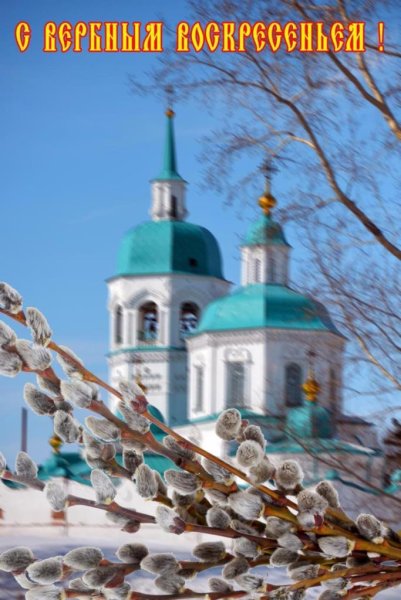 Верба Церковь Вербное Воскресение